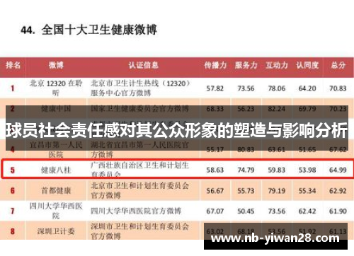 球员社会责任感对其公众形象的塑造与影响分析