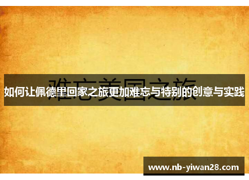 如何让佩德里回家之旅更加难忘与特别的创意与实践