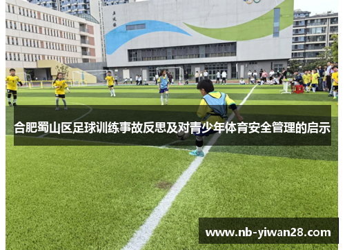 合肥蜀山区足球训练事故反思及对青少年体育安全管理的启示