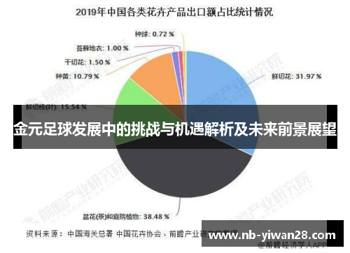 金元足球发展中的挑战与机遇解析及未来前景展望